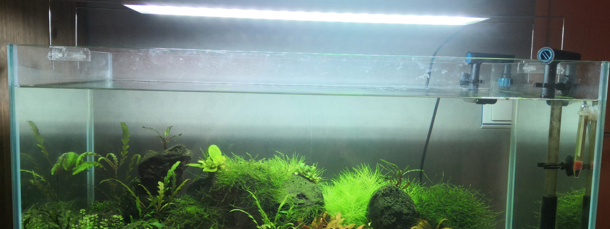 aquarium Aquarium eau douce de 112l