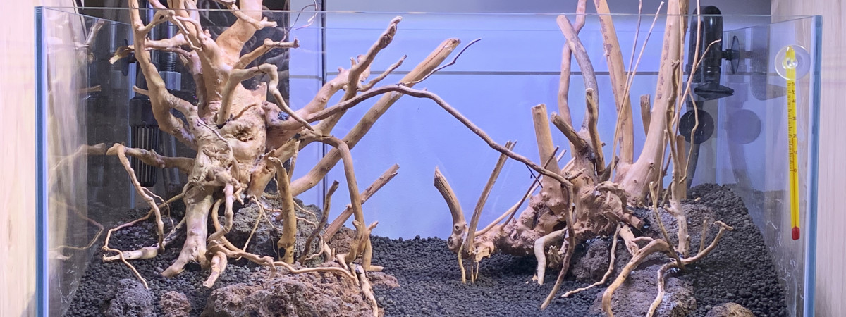 aquarium Tropical 58 L