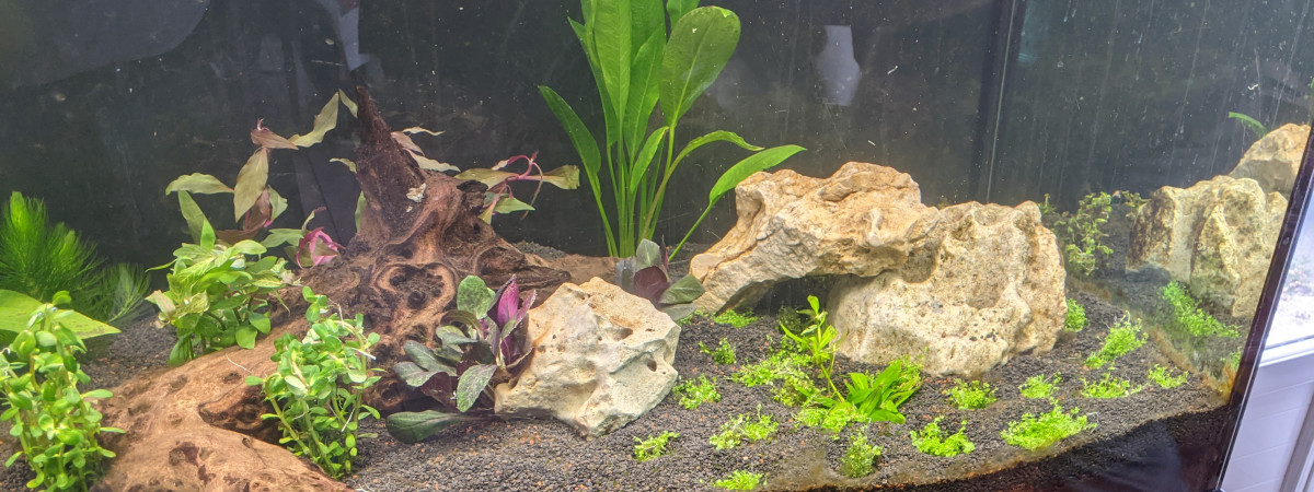 aquarium Pascal