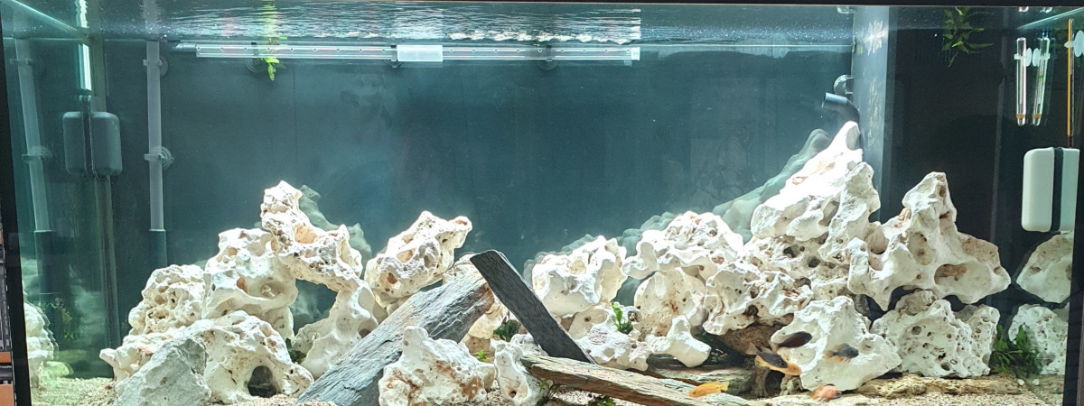 aquarium 300L juwel