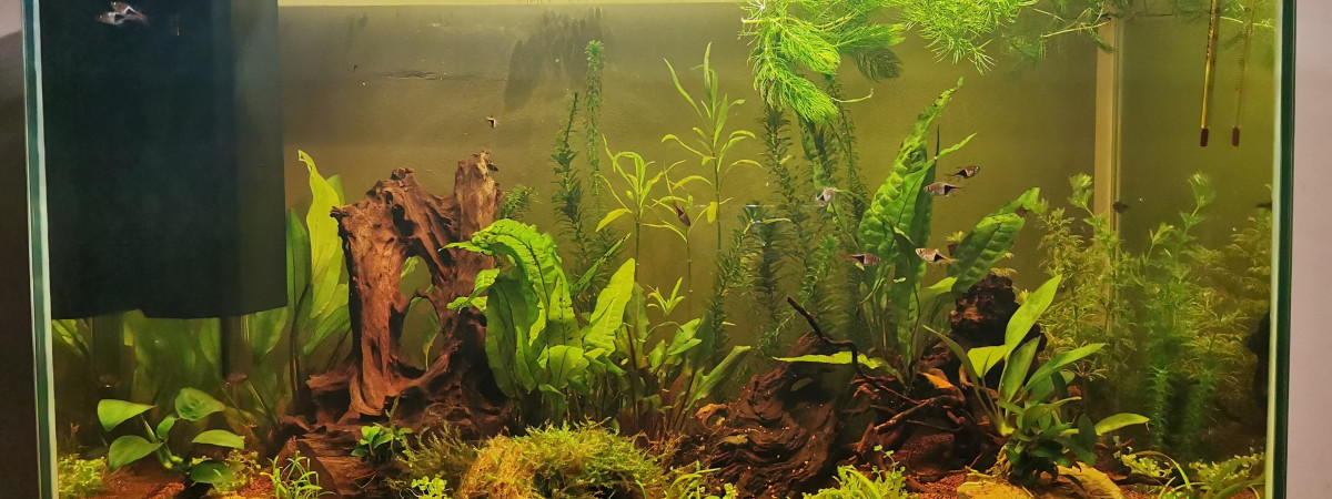 aquarium Home 110