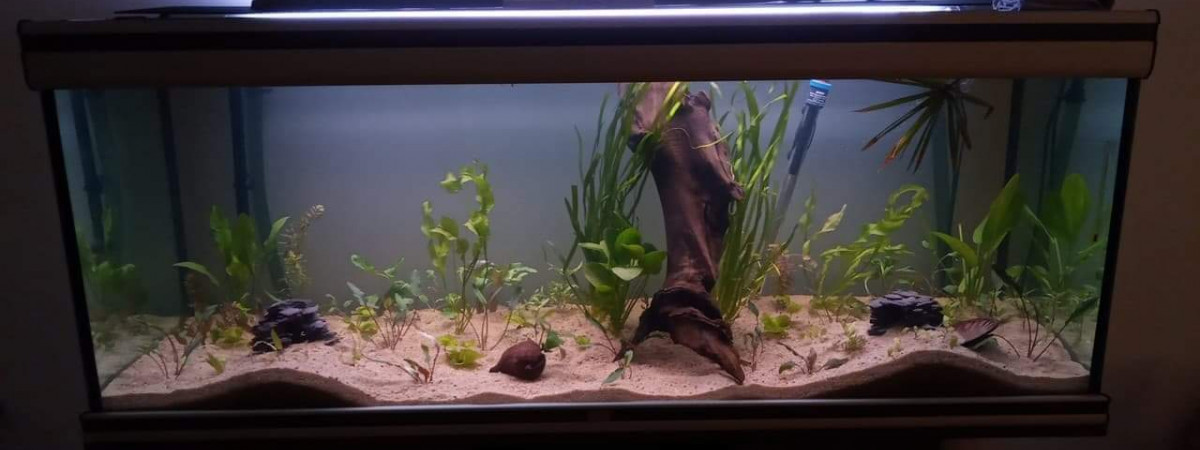 aquarium 400L salon