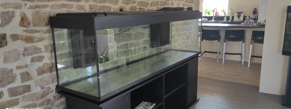 aquarium Biotope africain