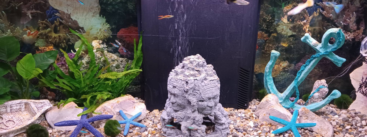 aquarium Camargue