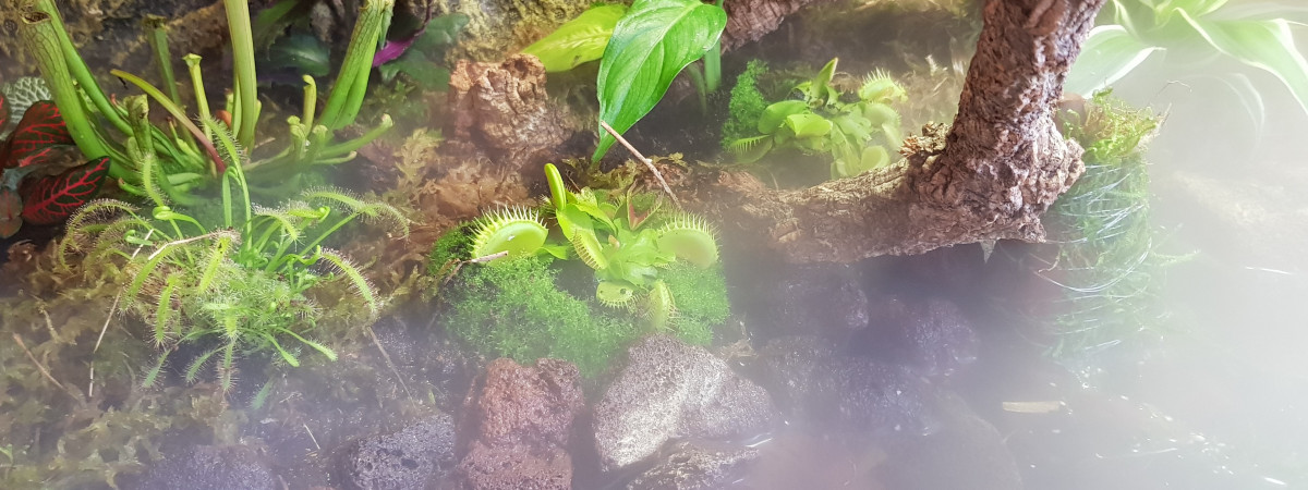 aquarium Aquaterrarium 20L
