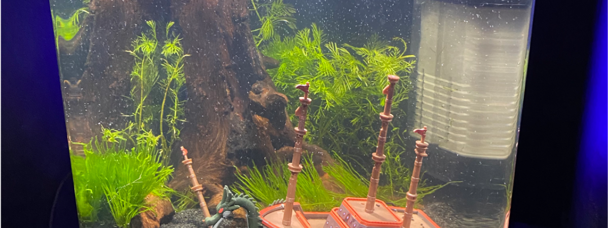 aquarium NANO 10L  epave