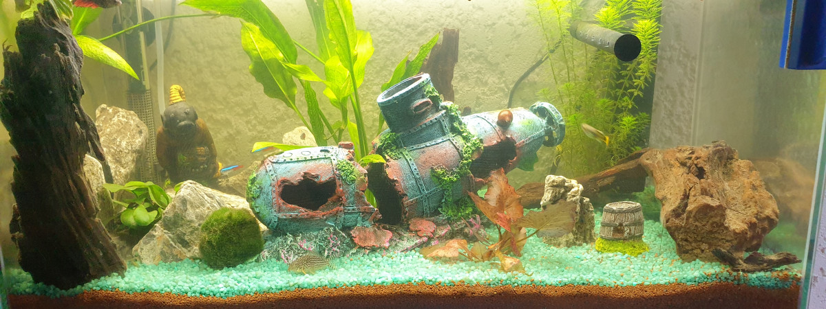aquarium Two