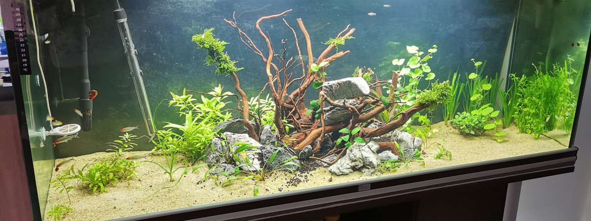 aquarium 450l