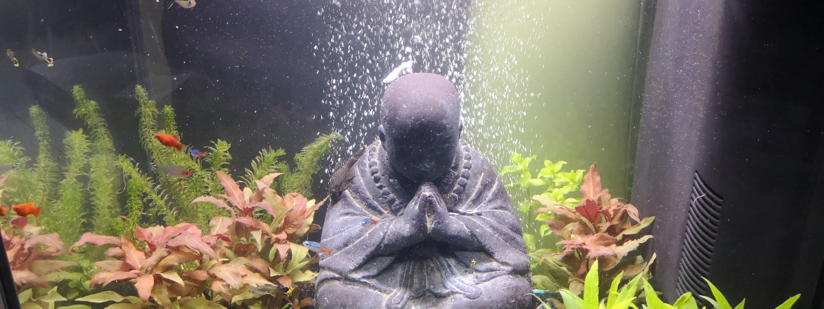 aquarium Viny