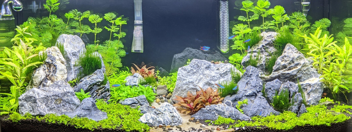 aquarium Brazil