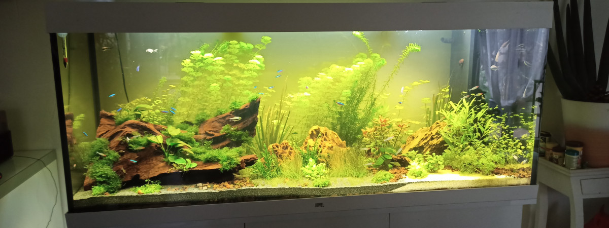 aquarium juwel 450