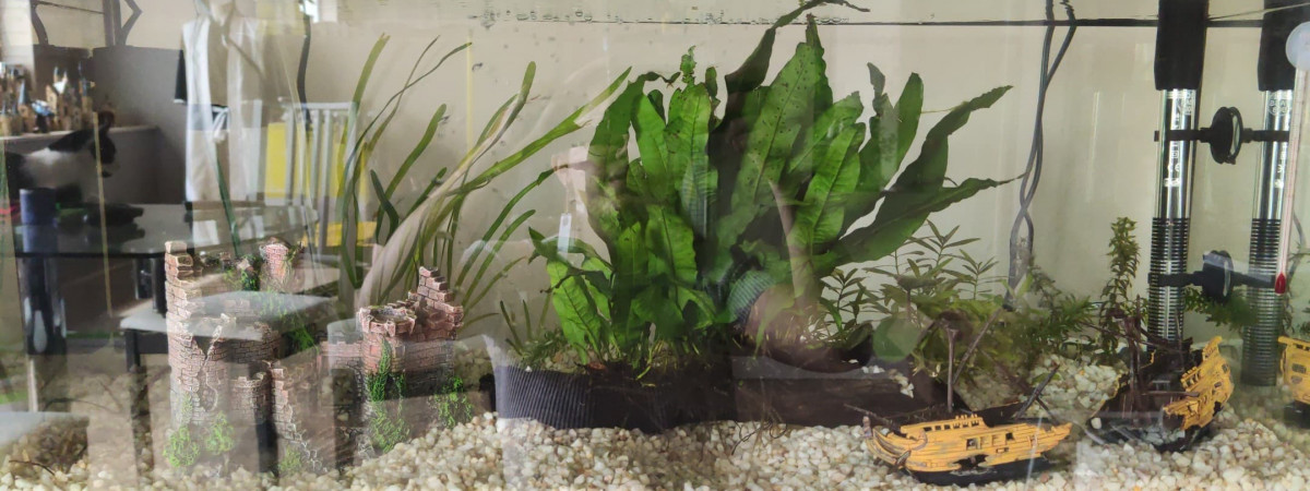 aquarium Aquarium 80L