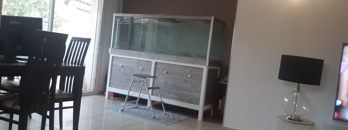 aquarium Amazonien