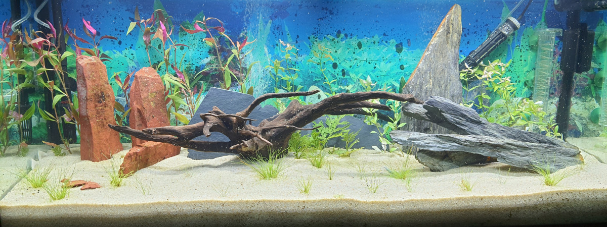 aquarium JUWEL RIO 240