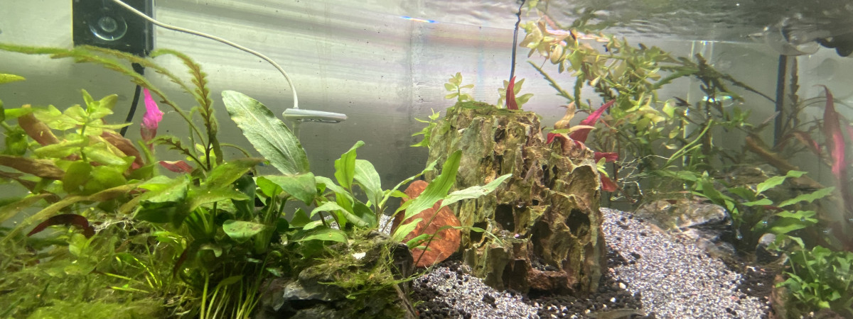 aquarium Big one
