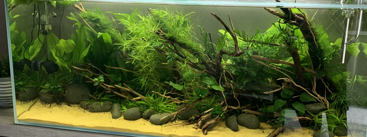 aquarium Venezuela
