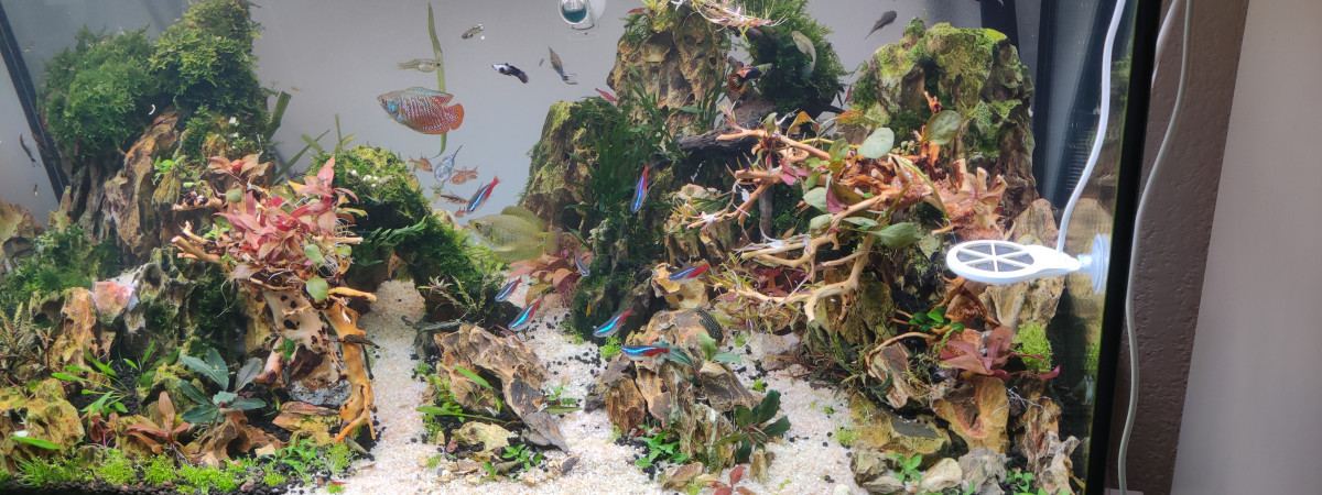 aquarium legros