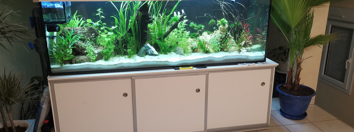 aquarium Nouvelle photo