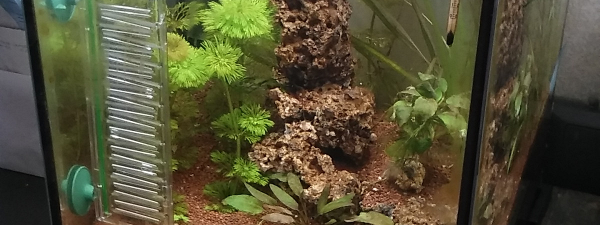 aquarium cube 30L