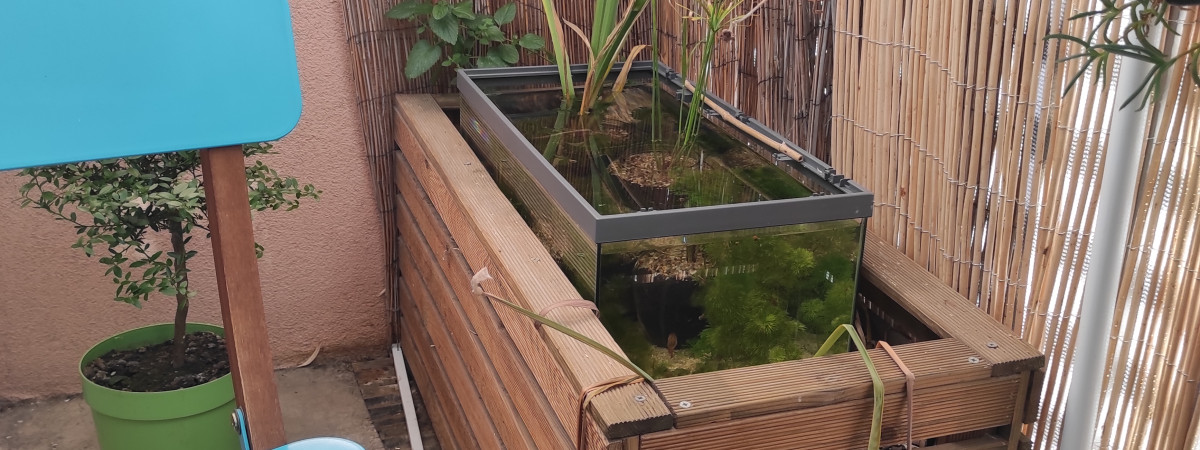 aquarium No tech poubellarium
