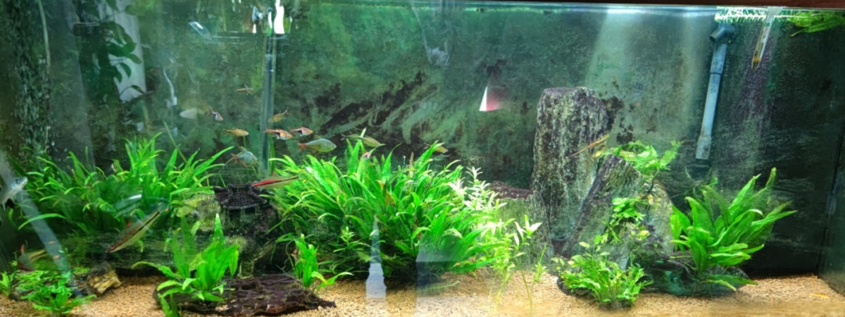 aquarium 450litre