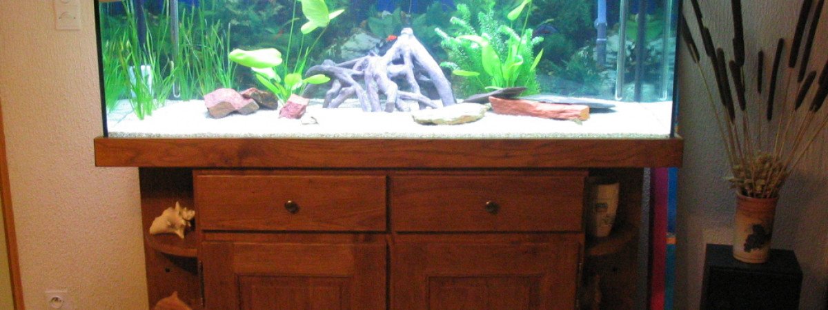 aquarium Aquarium SàM