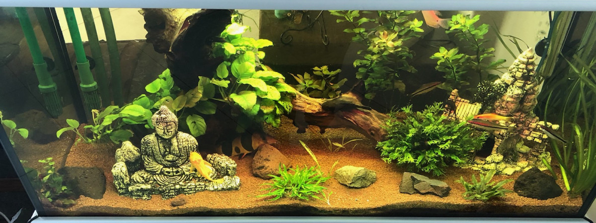 aquarium Aquarium JUWEL RIO 180