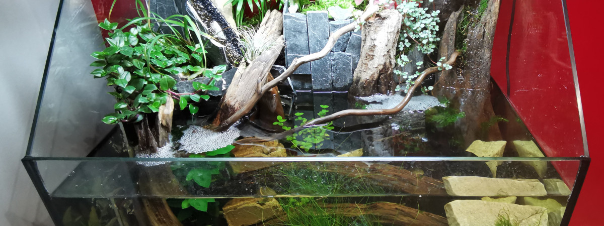 aquarium Paludarium