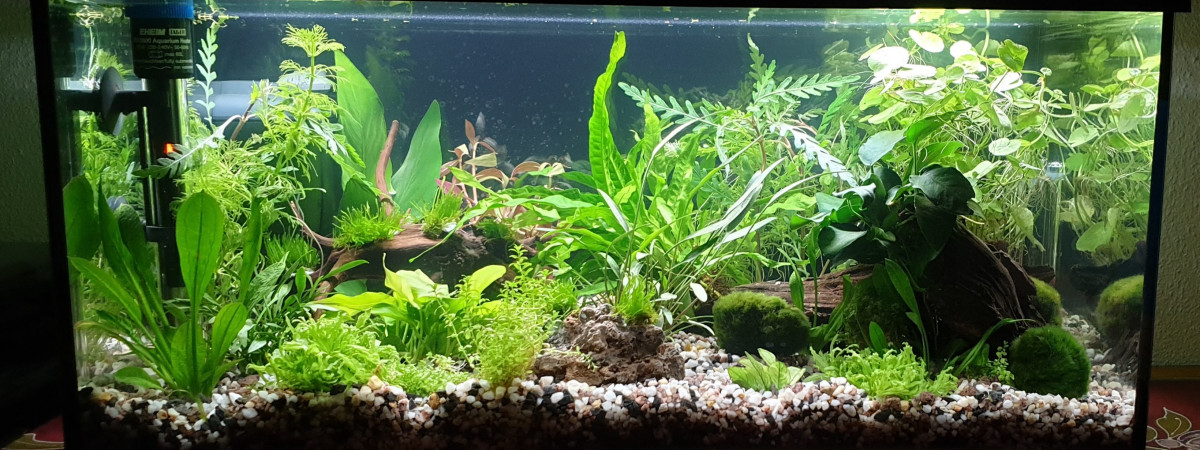 aquarium Juwel Rio 180