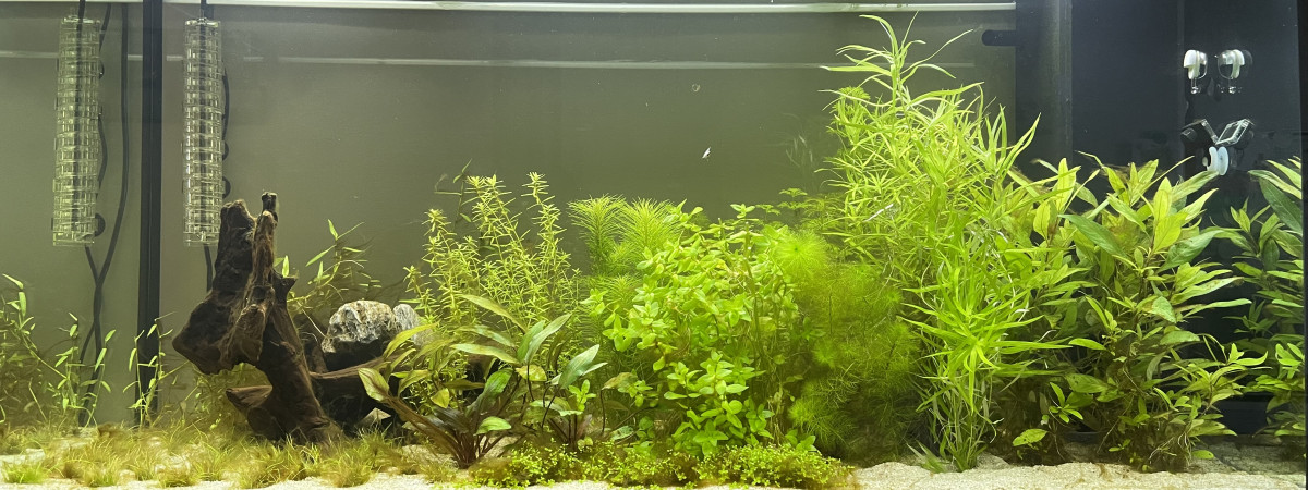 aquarium 300 L