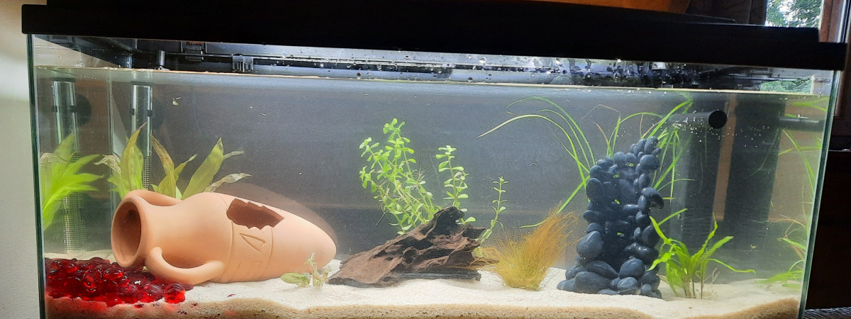 aquarium Aquarium 80L