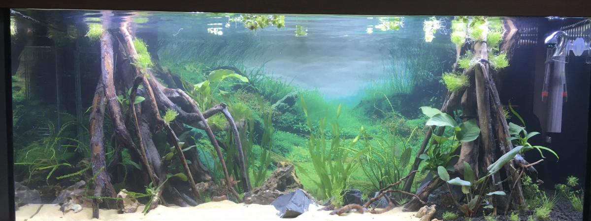 aquarium Rio 180