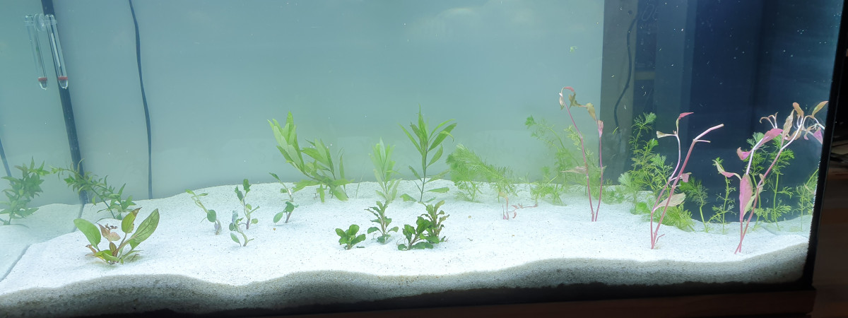 aquarium Juwel 180