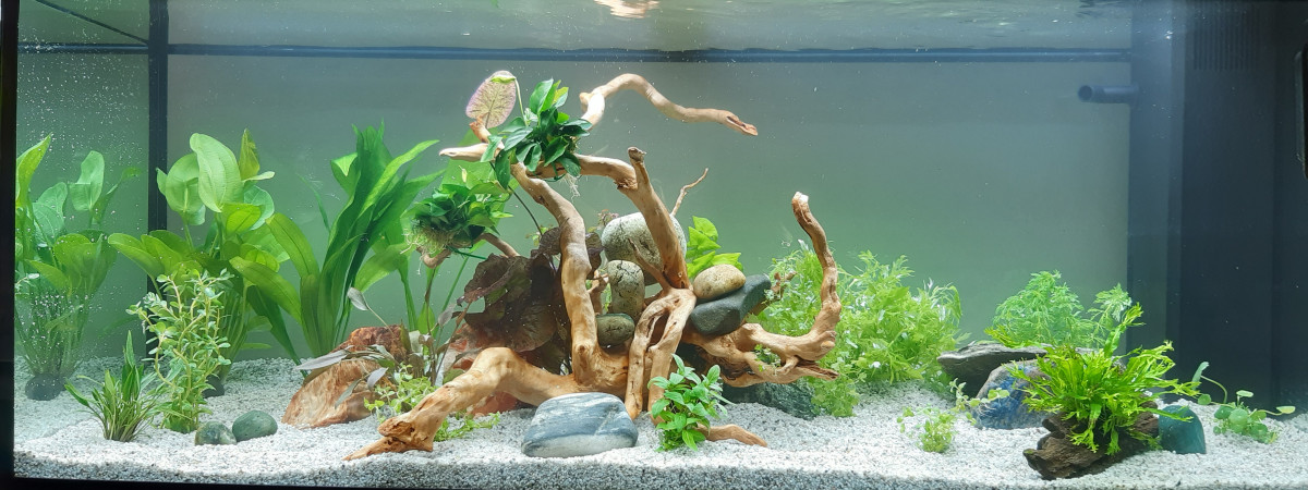 aquarium Rio