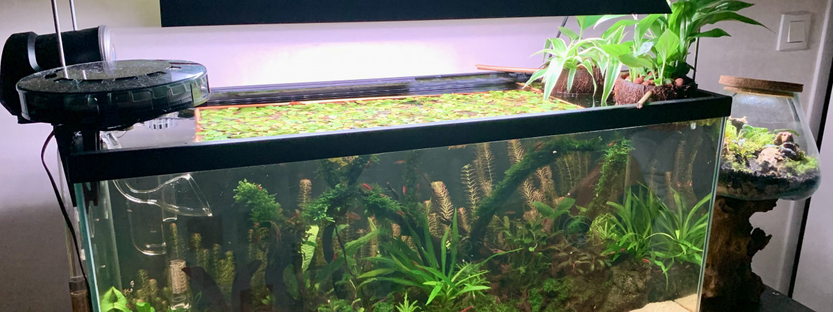 aquarium Tropical 74L