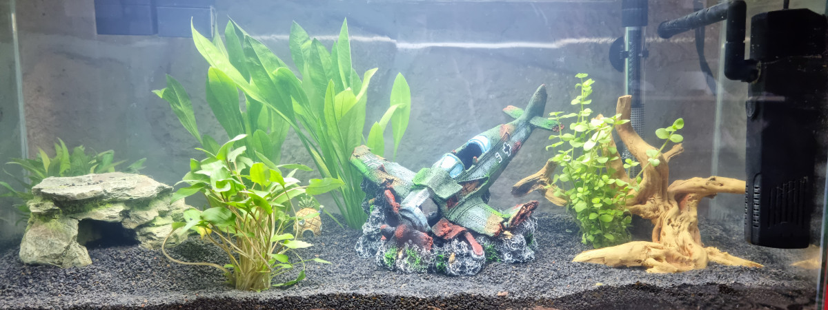 aquarium Aqua80