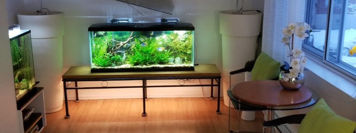 aquarium 210 litres No 1