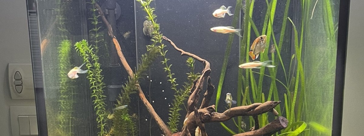 aquarium Aquarium aquatlantis tower