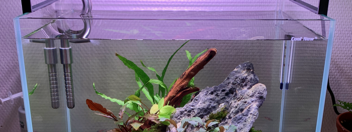 aquarium Nano20L