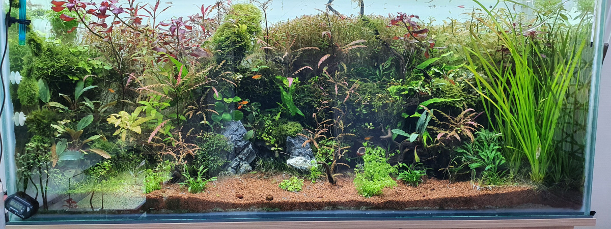 aquarium 300 litre