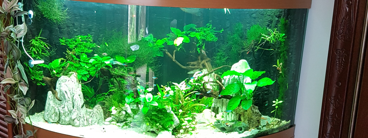 aquarium Juwel 350