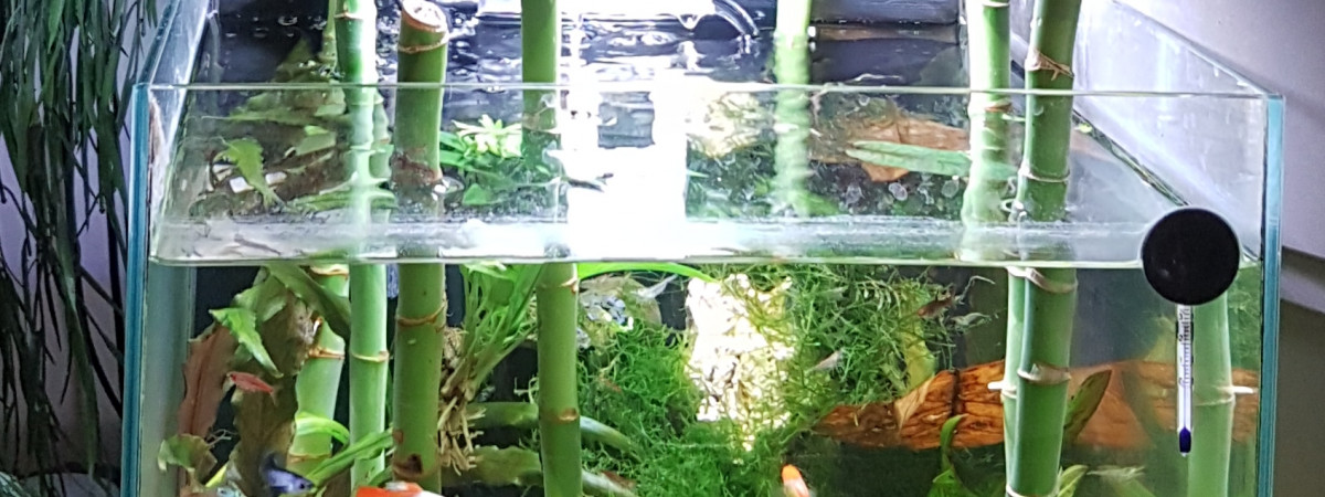 aquarium Nano ouvert 28 L