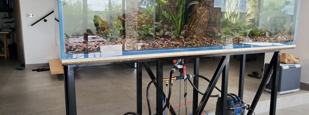 aquarium Aquarium salon