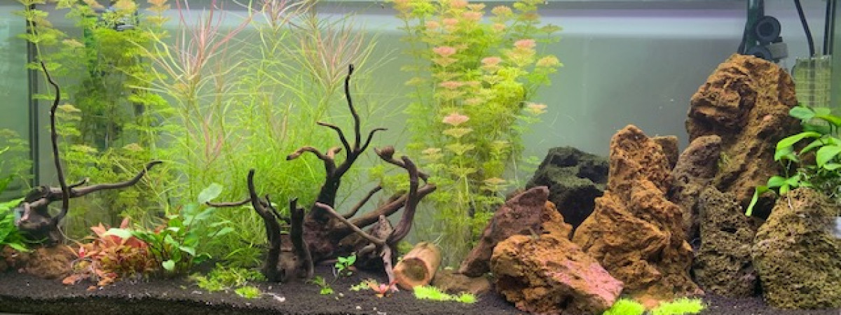 aquarium VASSON