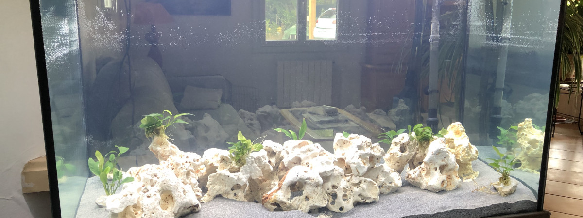 aquarium Biotope Malawi