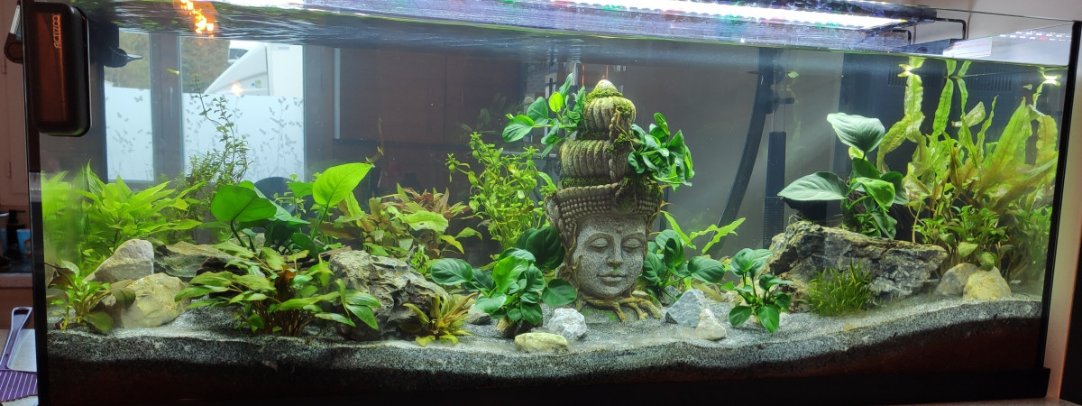 aquarium Juwel 160