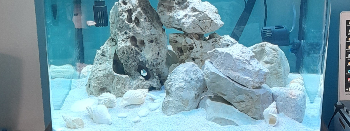 aquarium Fluval Osaka Tanganyika