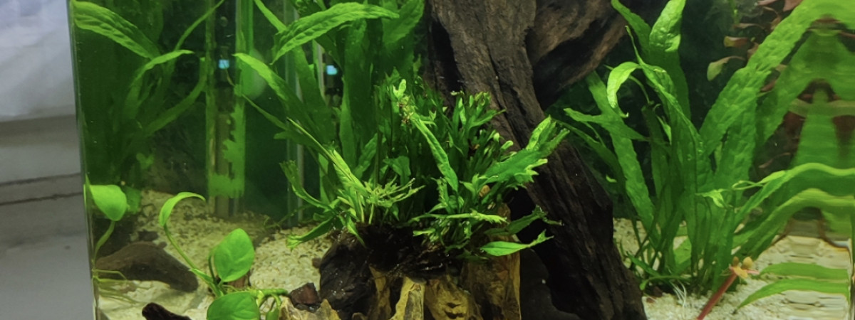 aquarium BETTALIFE