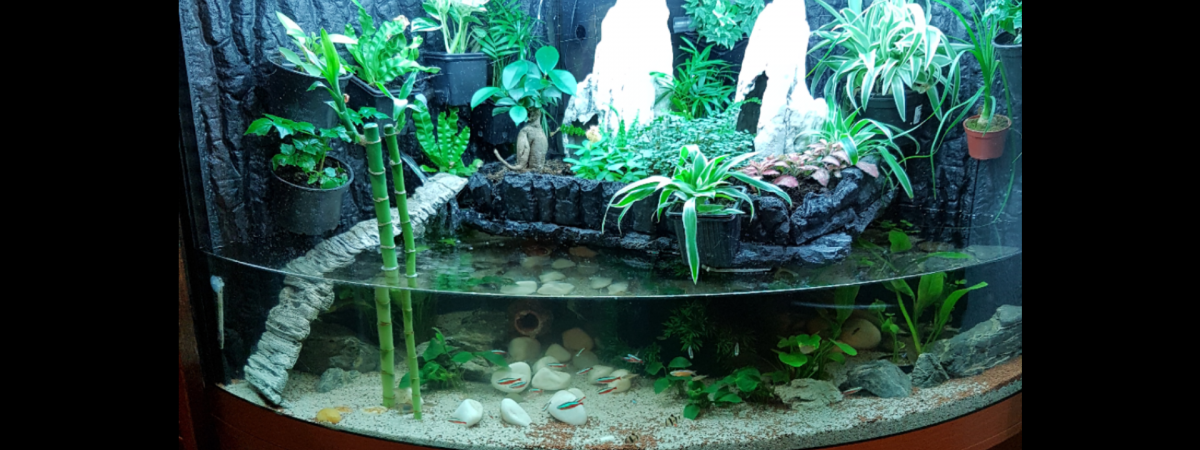 aquarium Juwel