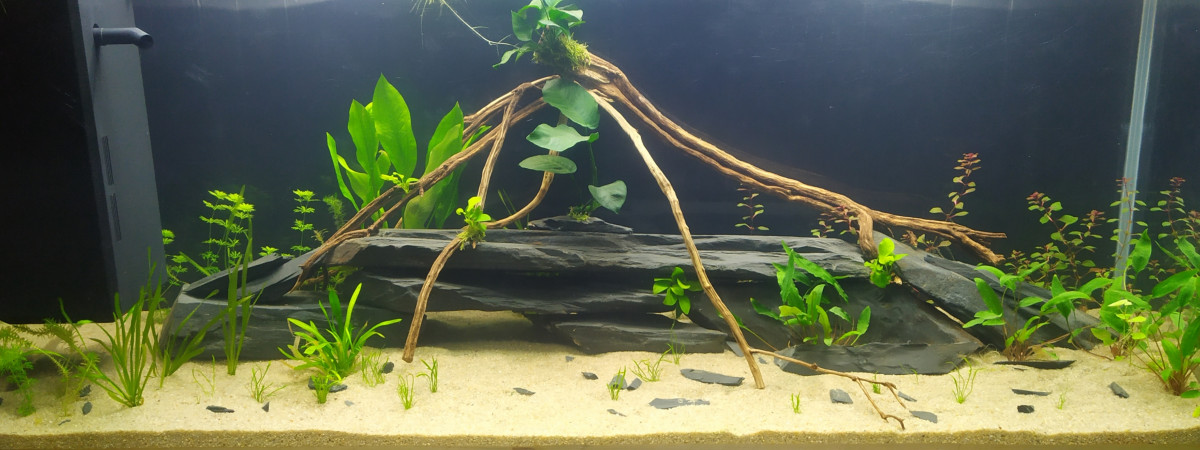 aquarium Le gros